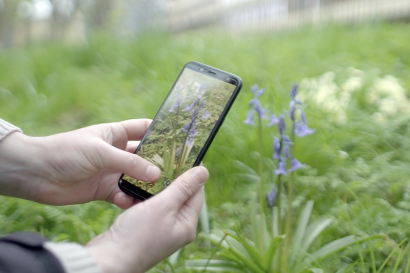 Photographing biodiversity using a smartphone app